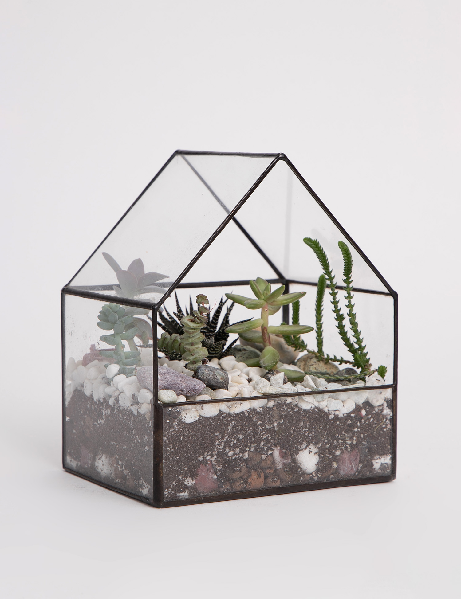 Картинка Скляний вазон з рослинами