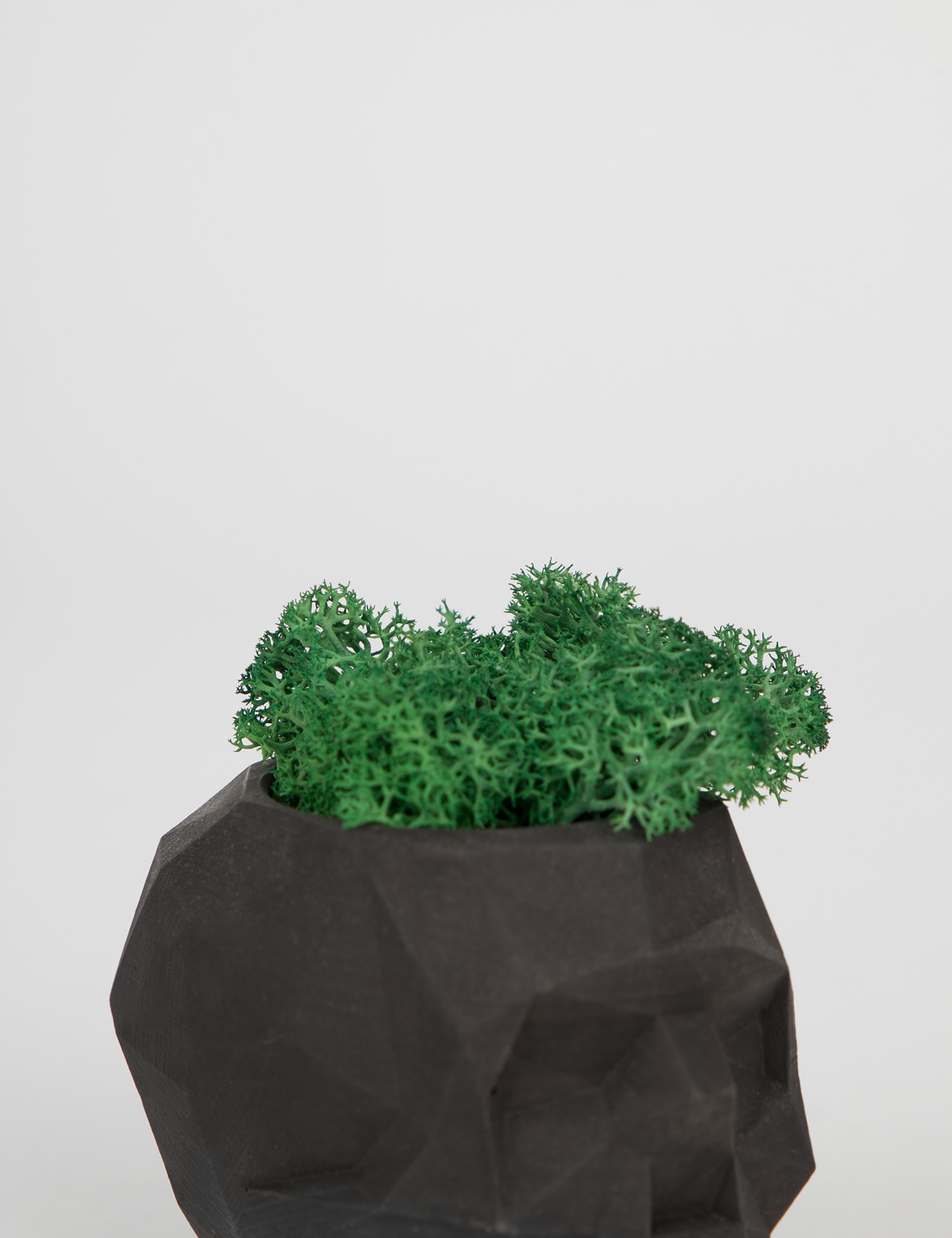 Картинка Чорний вазон з декоративним мохом