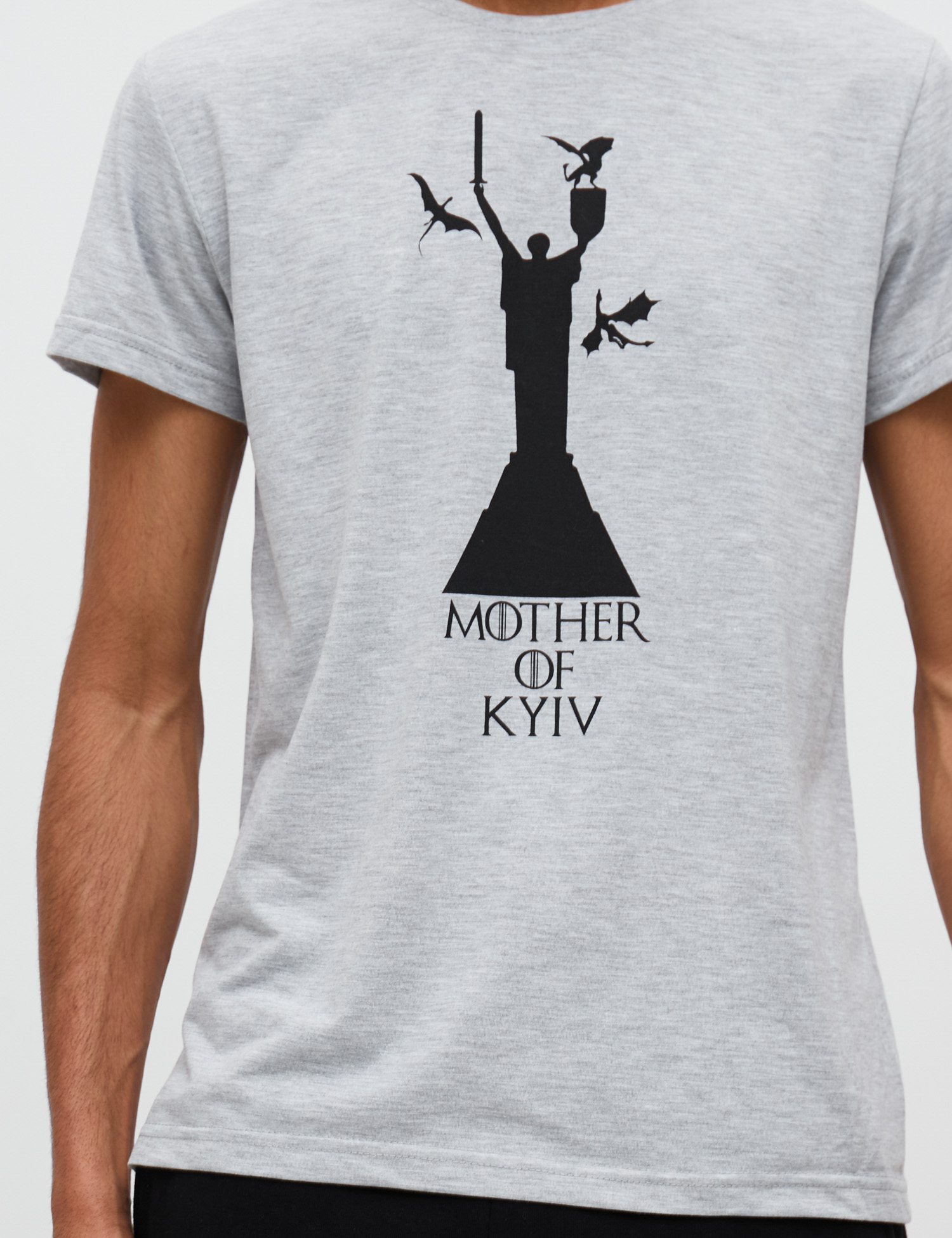 Картинка Чоловіча сіра футболка з принтом