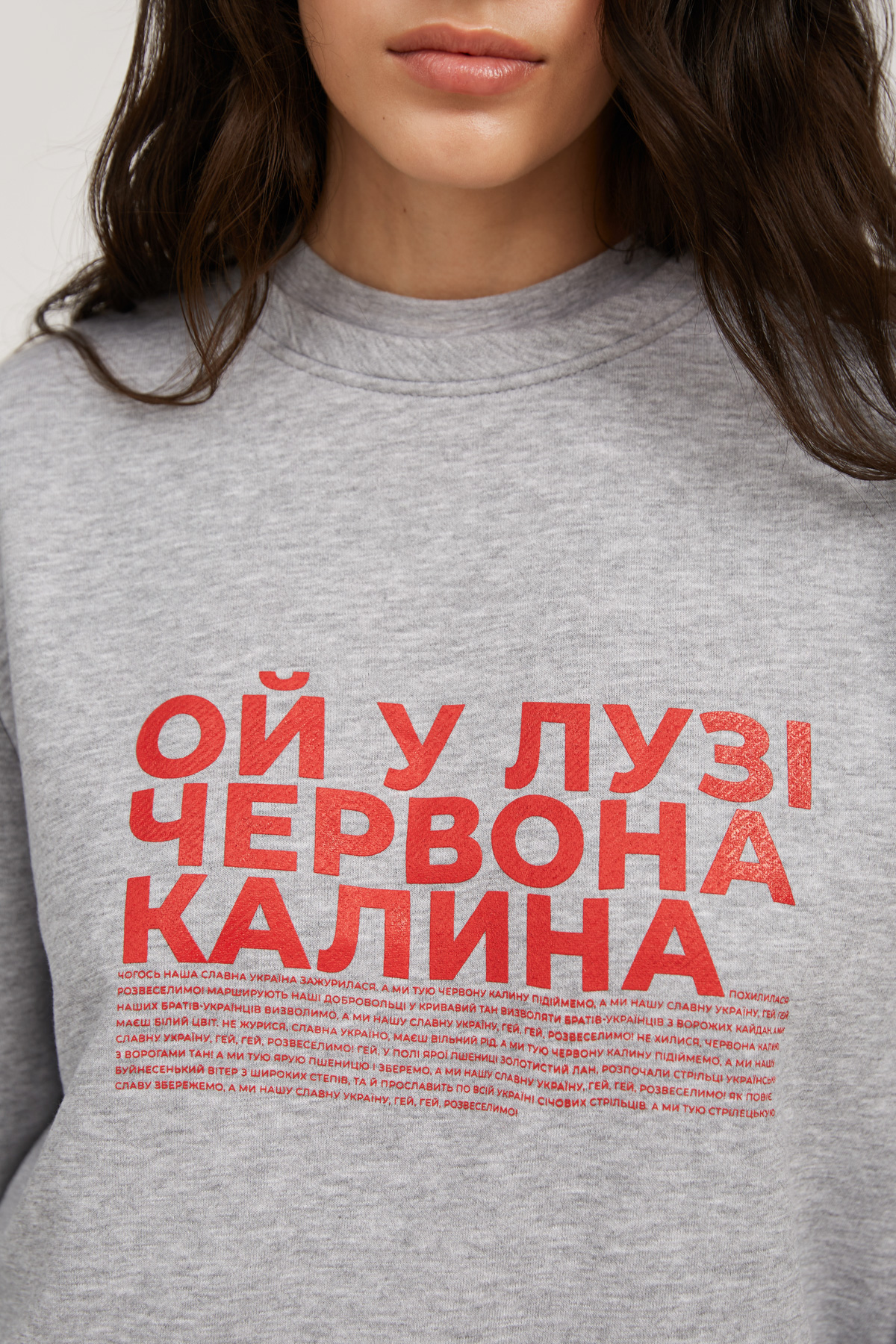 Картинка Сірий світшот