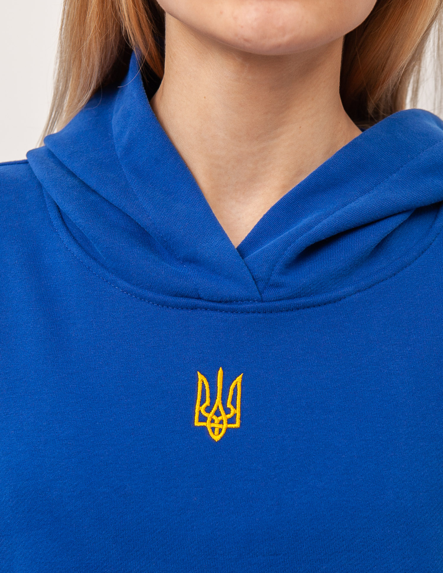 Картинка Синє худі з гербом