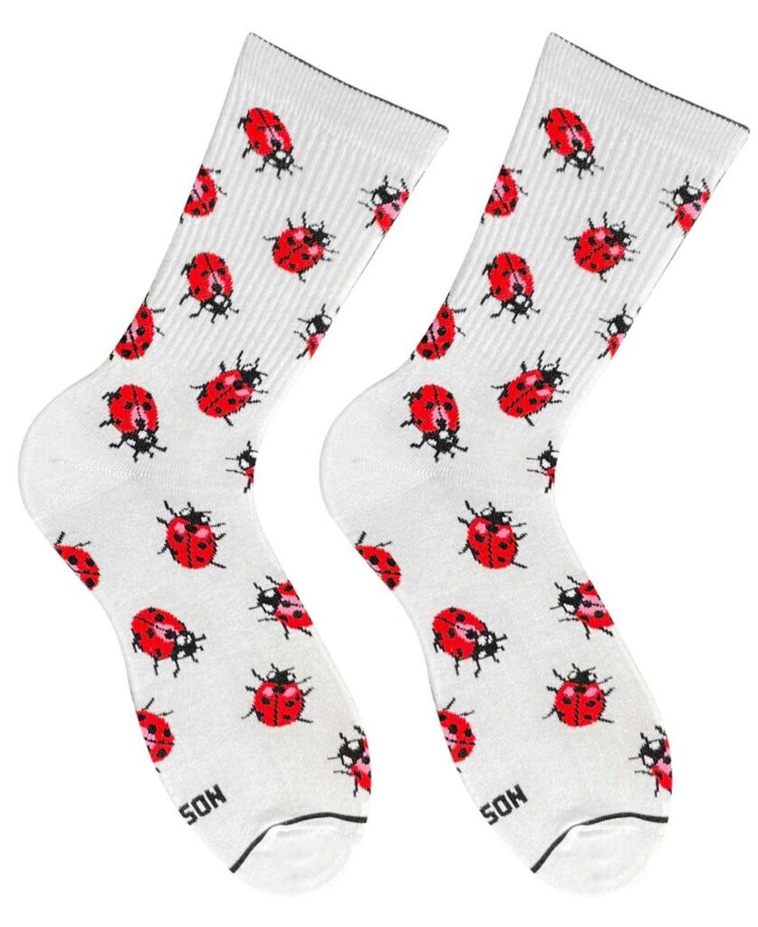 Картинка Біло-червоні шкарпетки