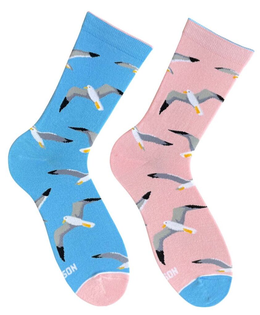 Картинка Блакитно-рожеві шкарпетки