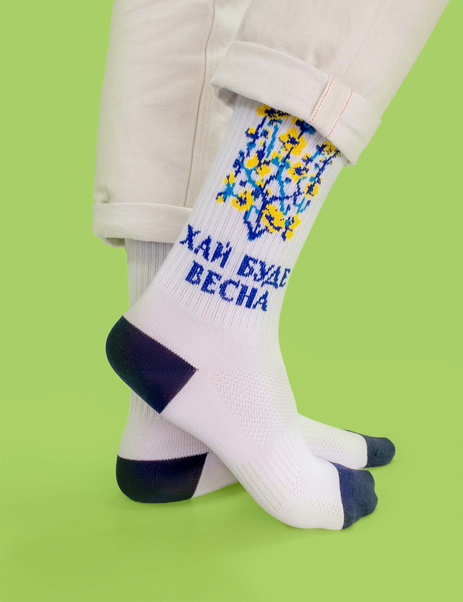 Картинка Шкарпетки з весняним принтом