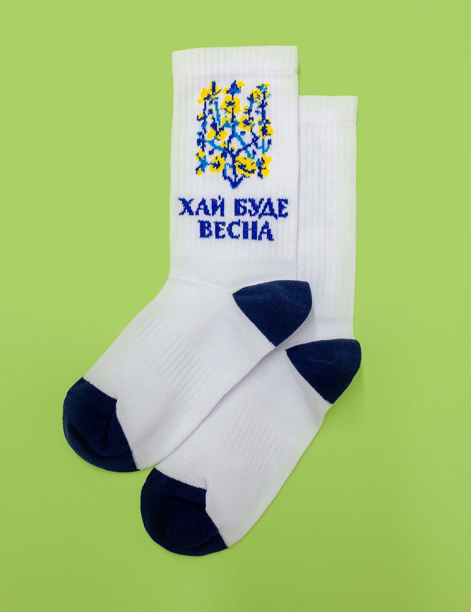 Картинка Шкарпетки з весняним принтом