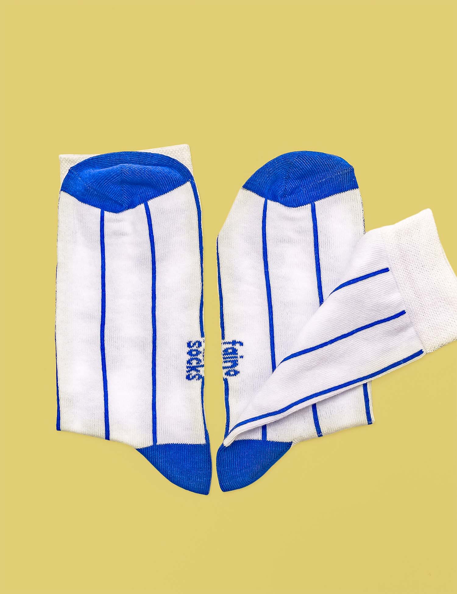Картинка Шкарпетки білі в синю смужку