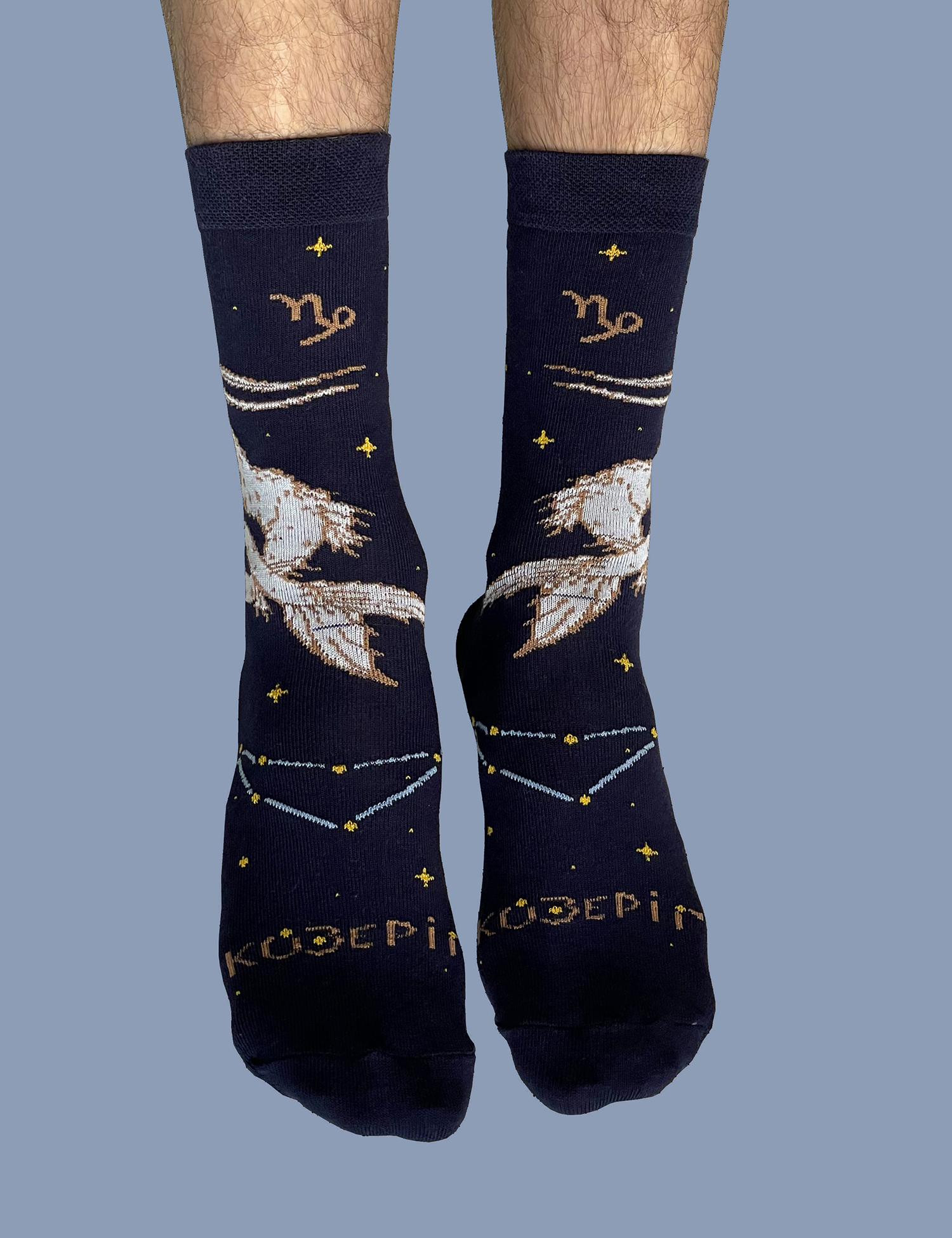 Картинка Шкарпетки "Козеріг" темно-сині