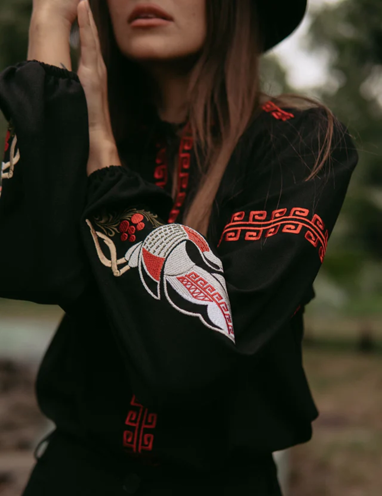 Картинка Вишиванка чорна з журавлями