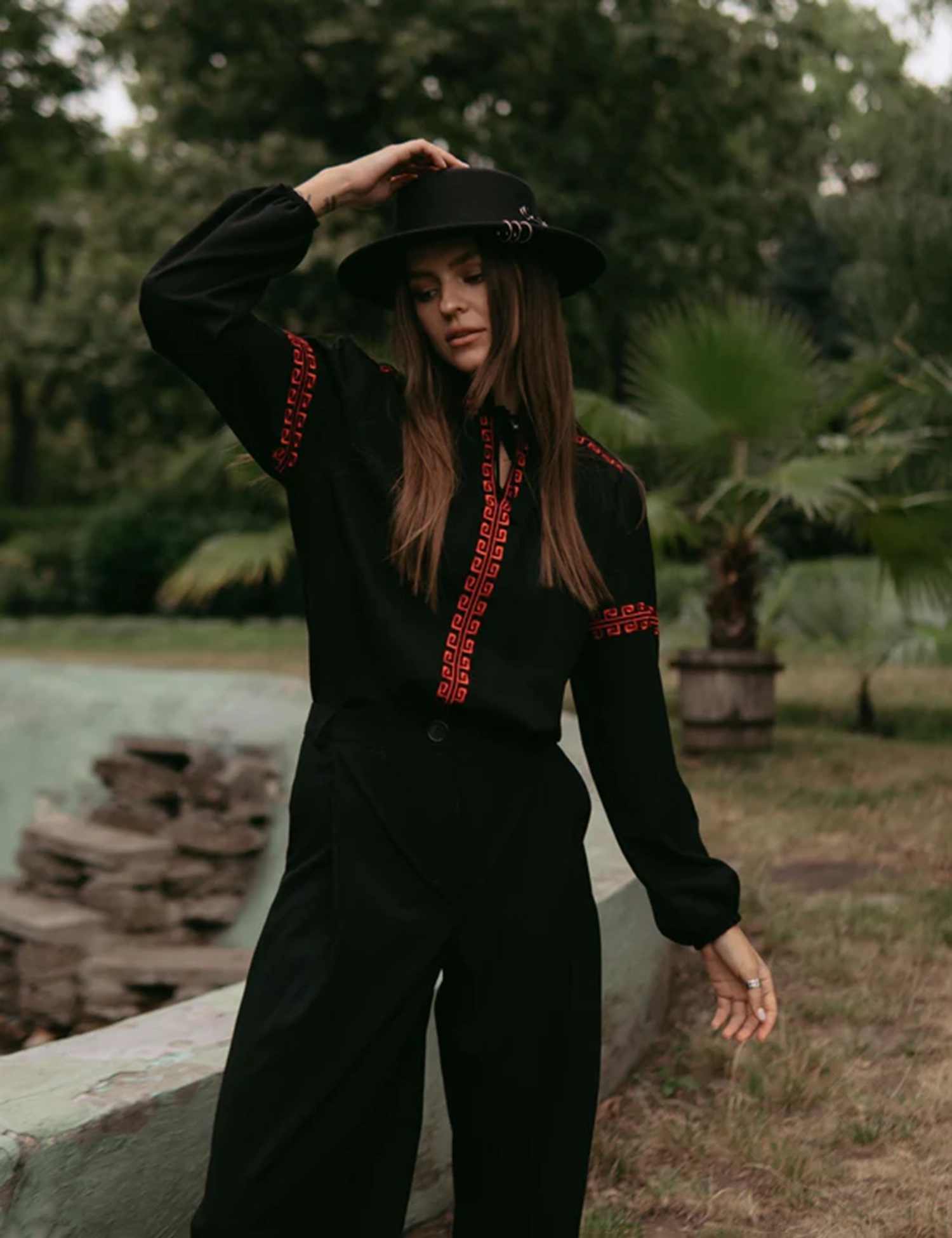 Картинка Вишиванка чорна з журавлями