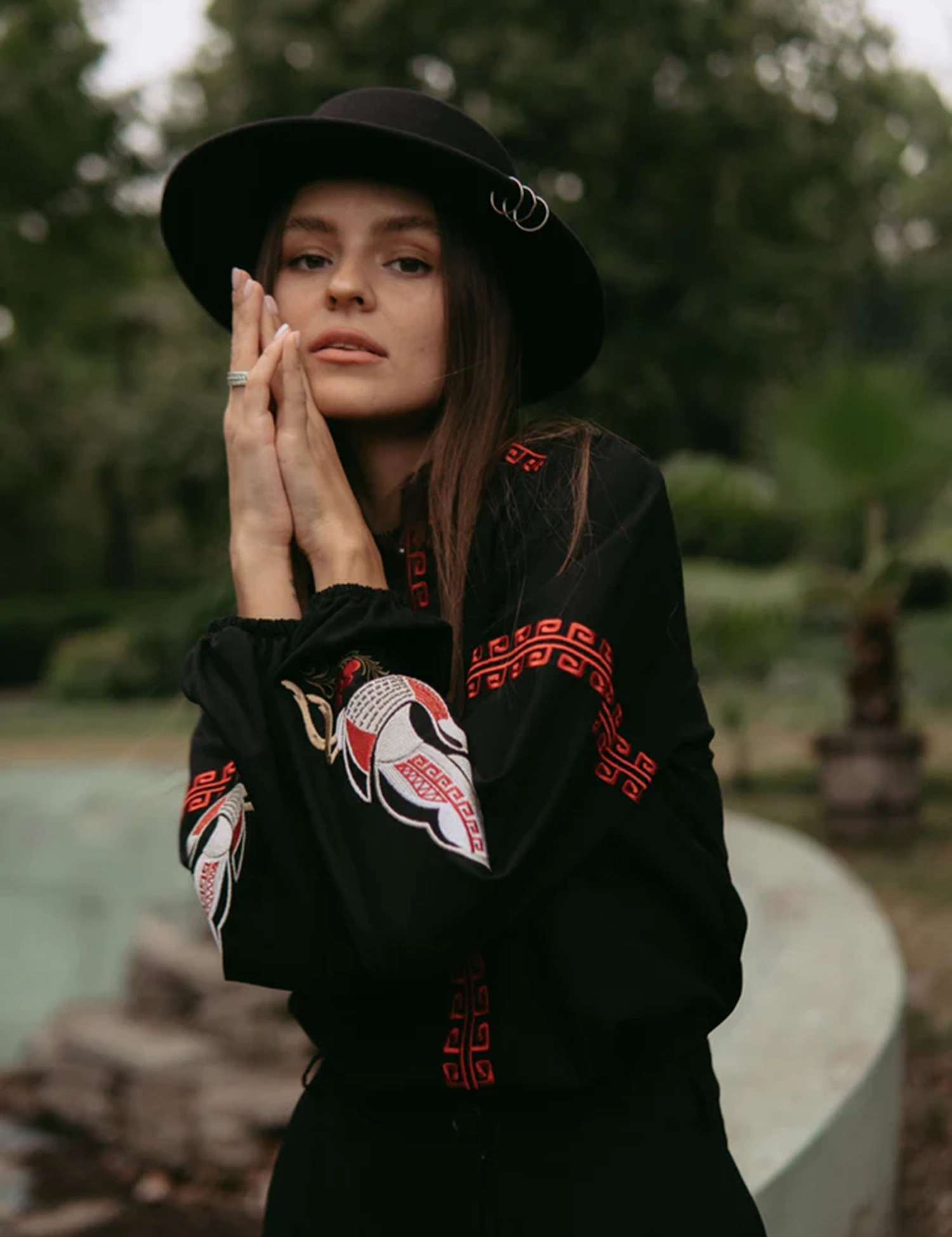 Картинка Вишиванка чорна з журавлями