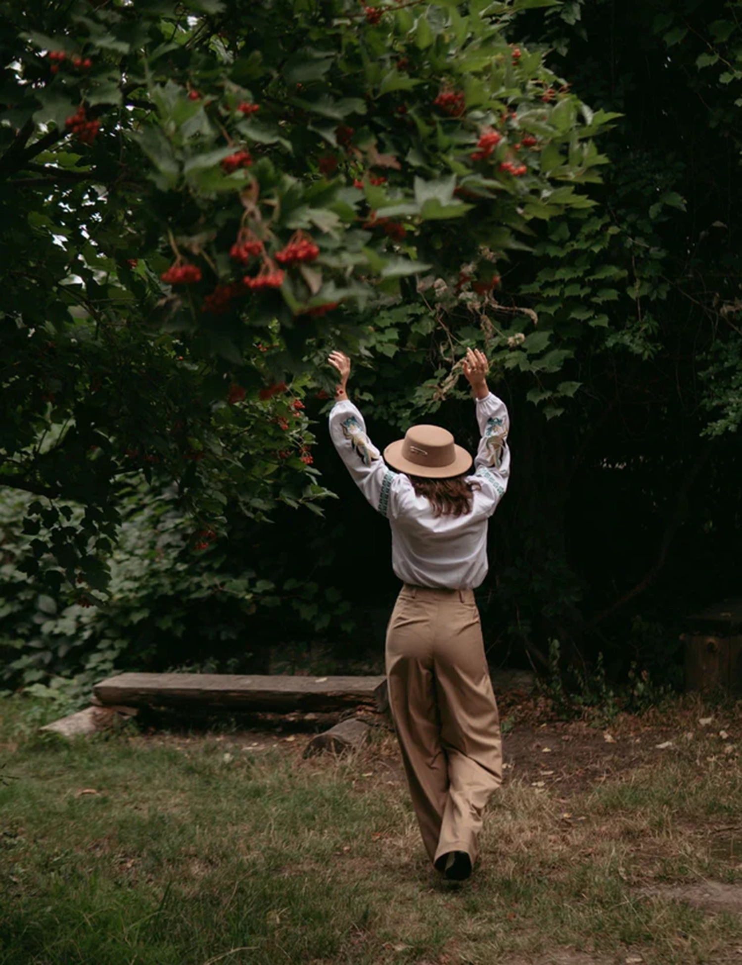 Картинка Вишиванка біла з журавлями