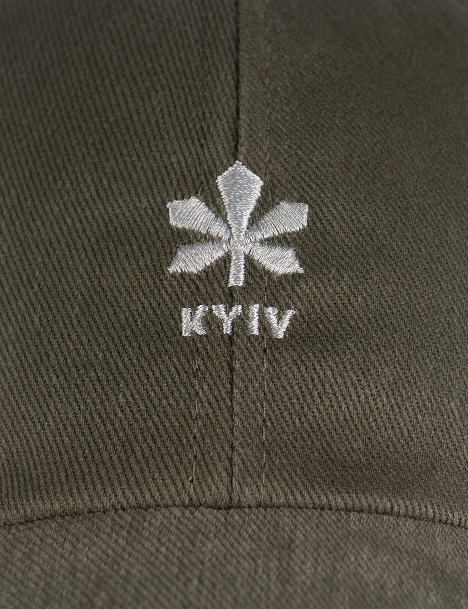 Картинка Кепка зелена з вишивкою