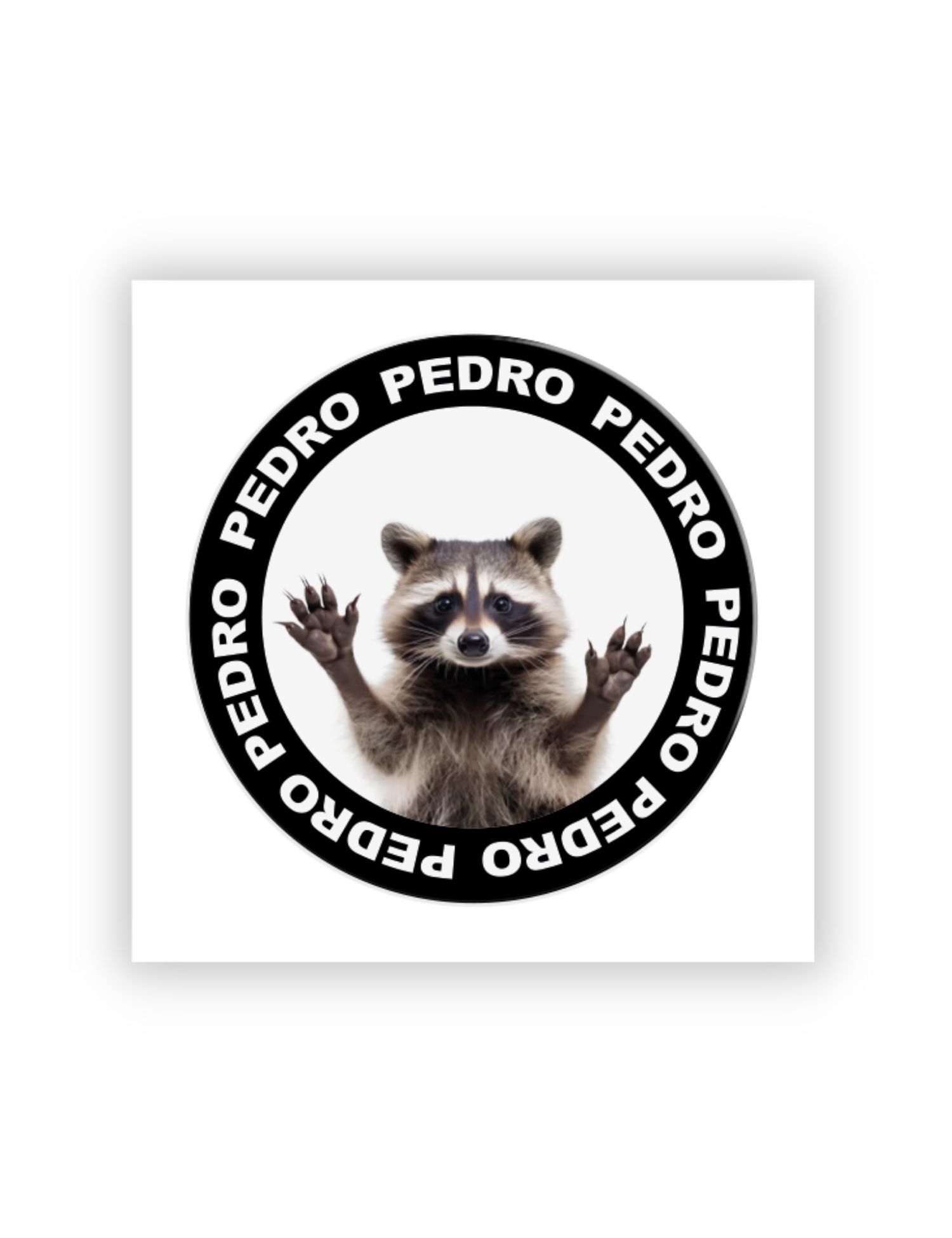 Картинка 3D-стікер із єнотом Pedro