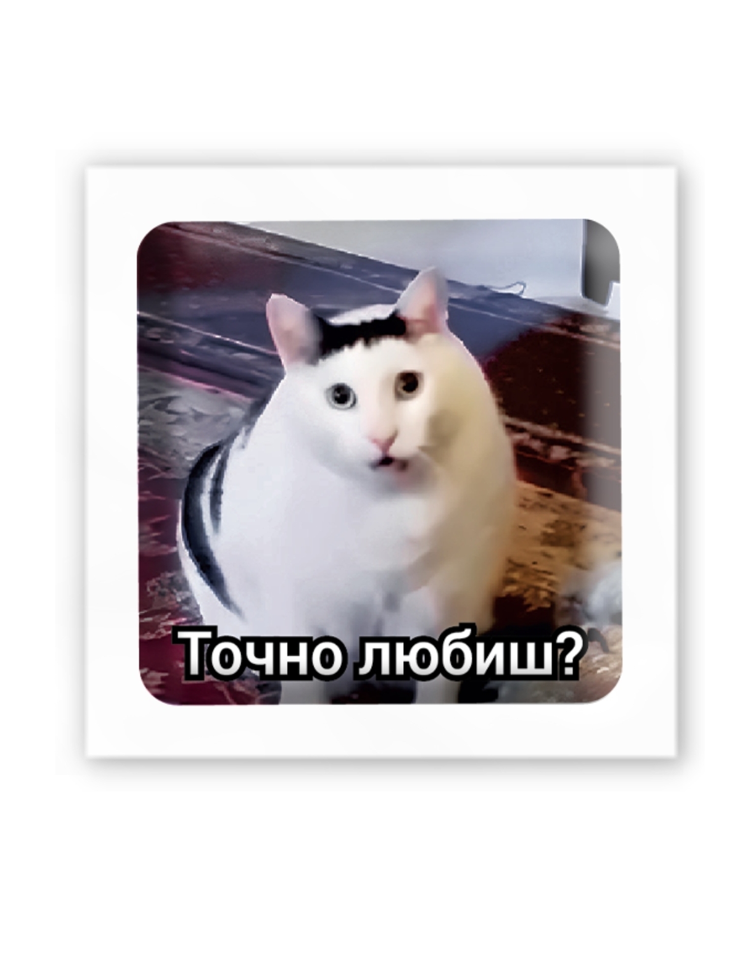 Картинка 3D-стікер із котом "Точно любиш?"