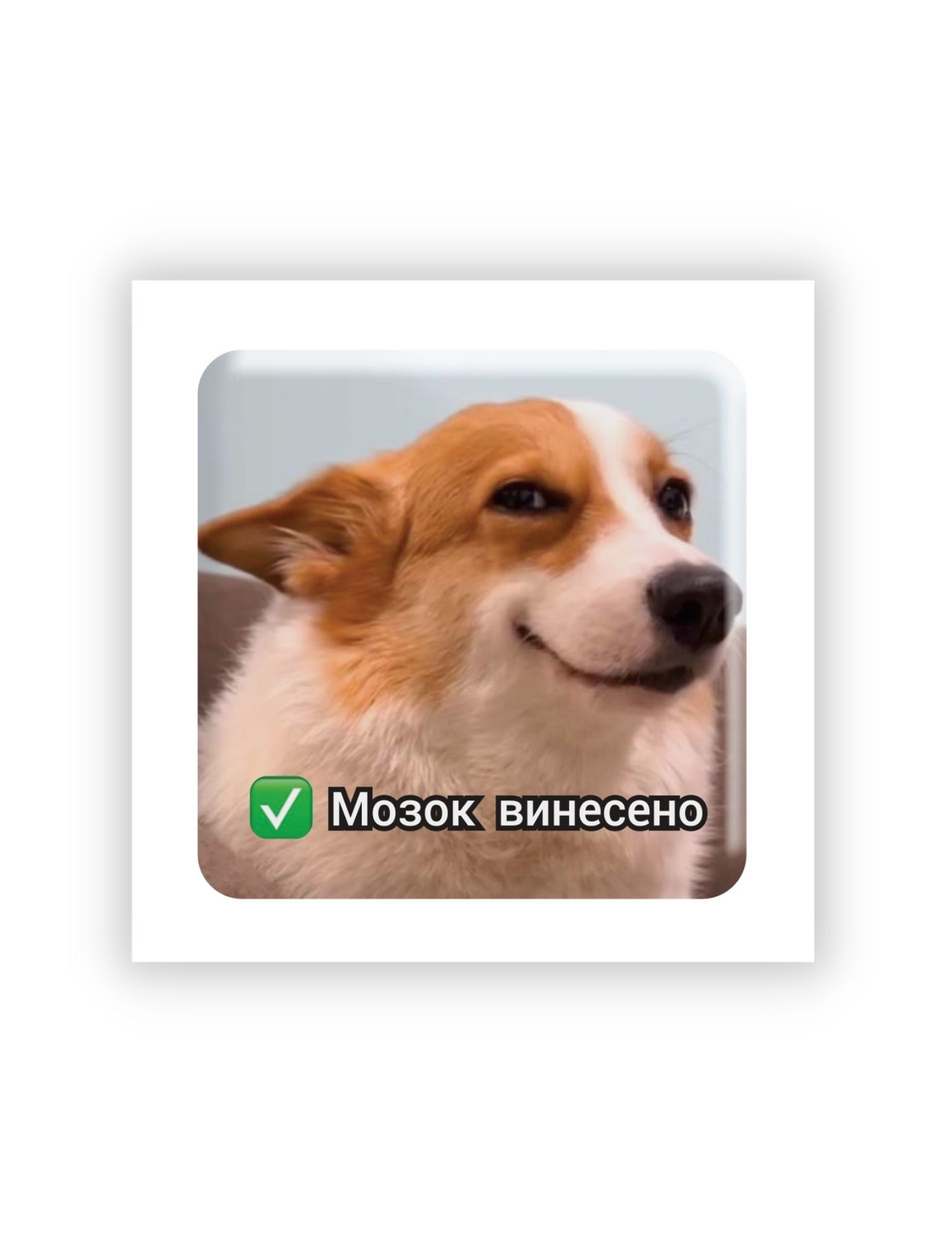 Картинка 3D-стікер із собакою та написом