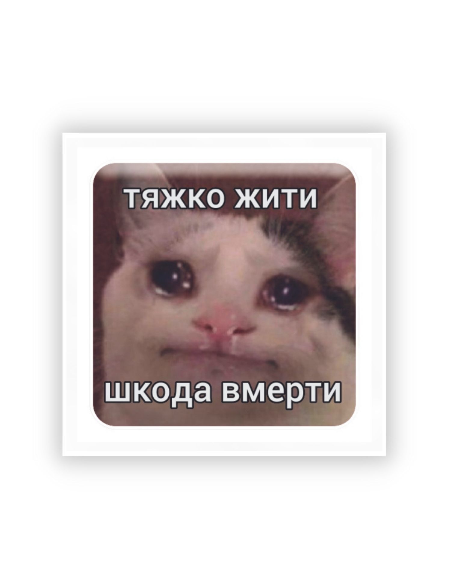 Картинка 3D-стікер із котом і написом