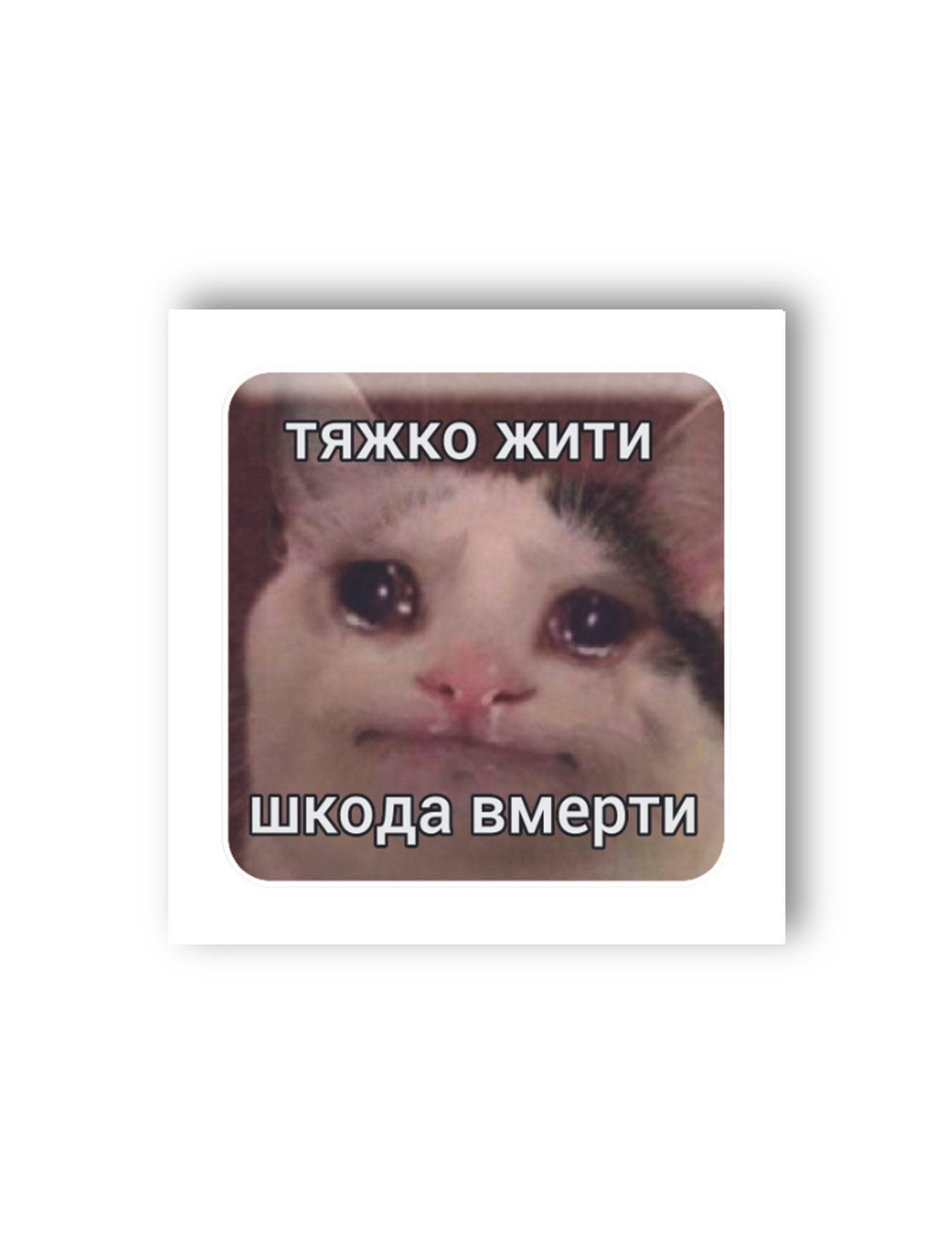 Картинка 3D-стікер із котом і написом