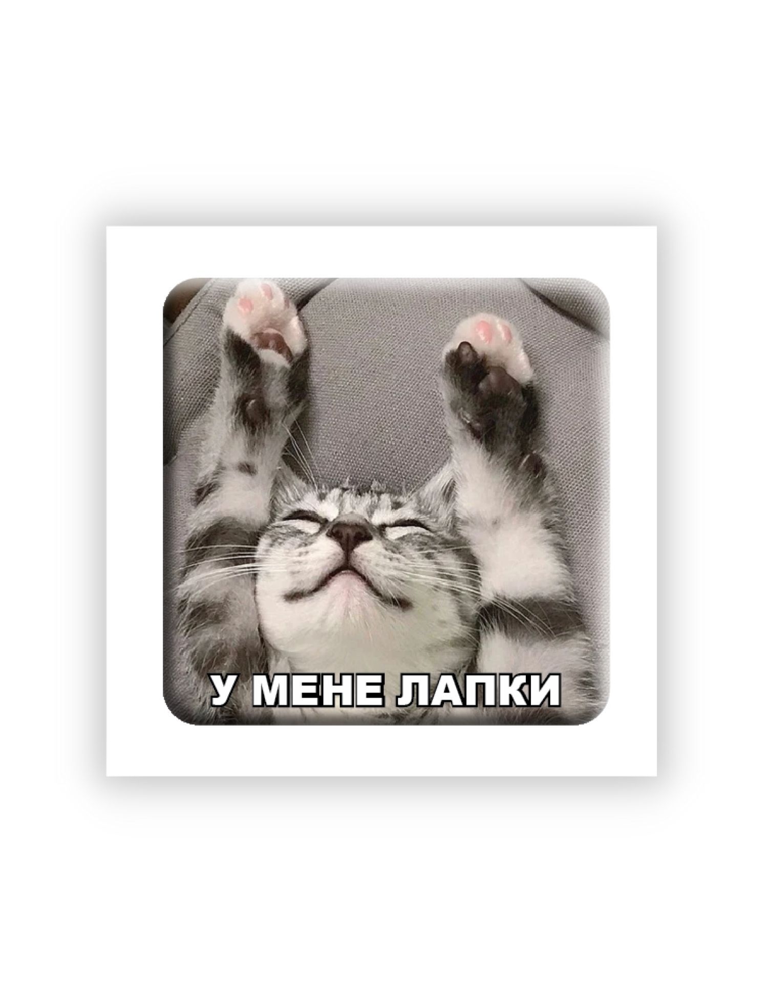 Картинка 3D-стікер "У мене лапки"