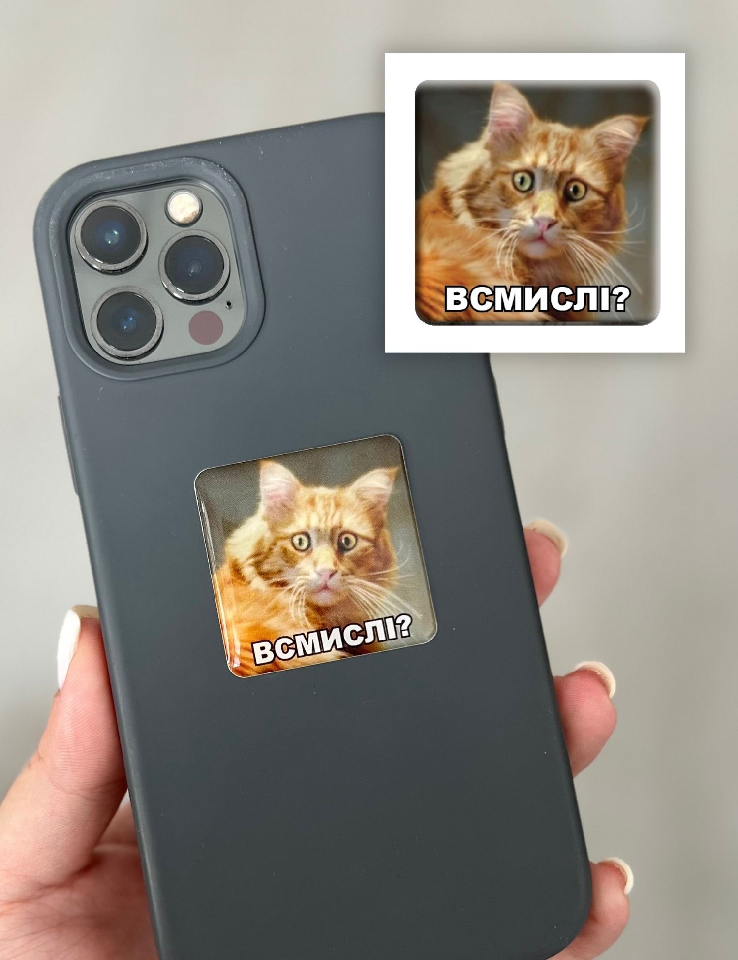 Картинка 3D-наліпка з котом "Всмислі?"