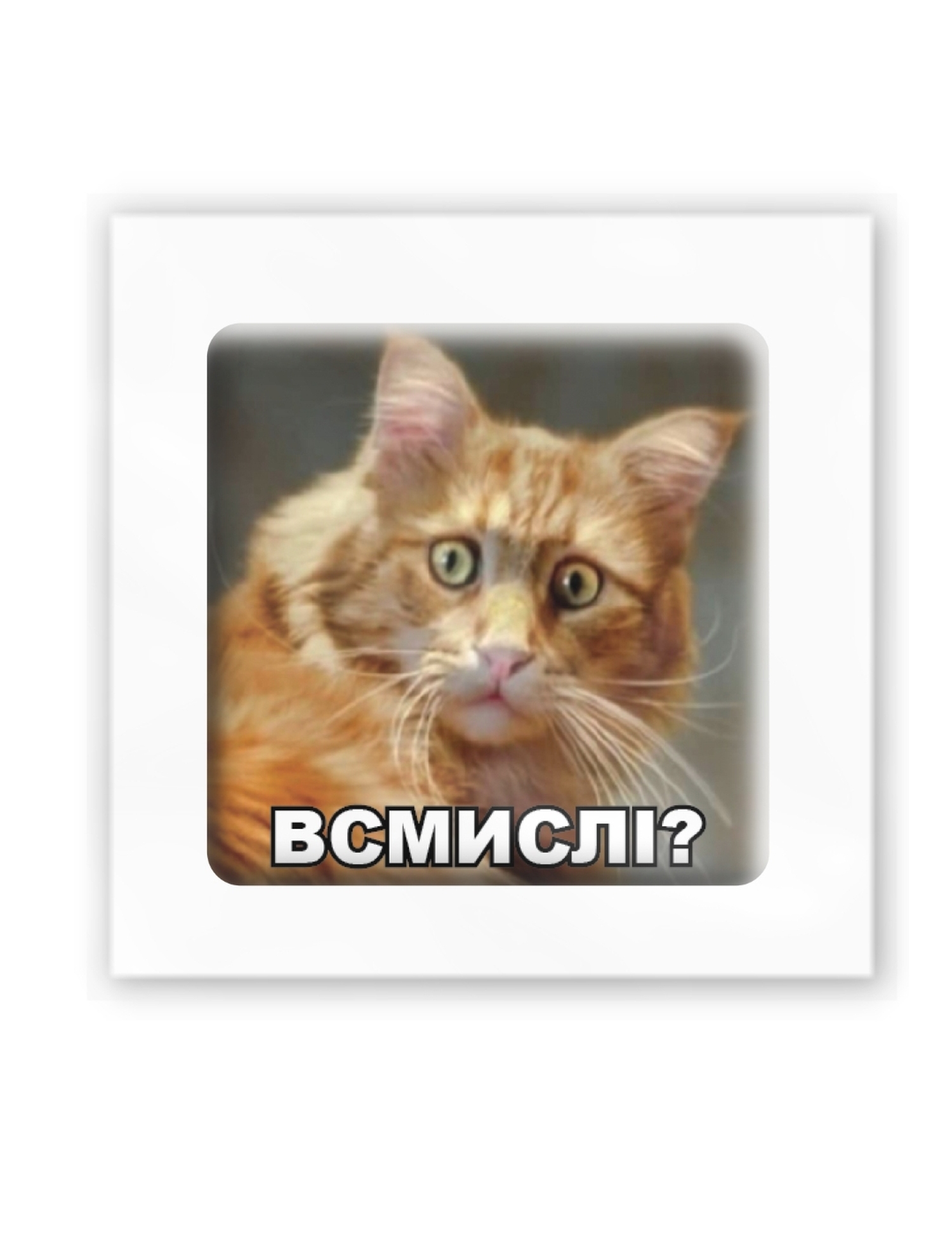 Картинка 3D-наліпка з котом "Всмислі?"