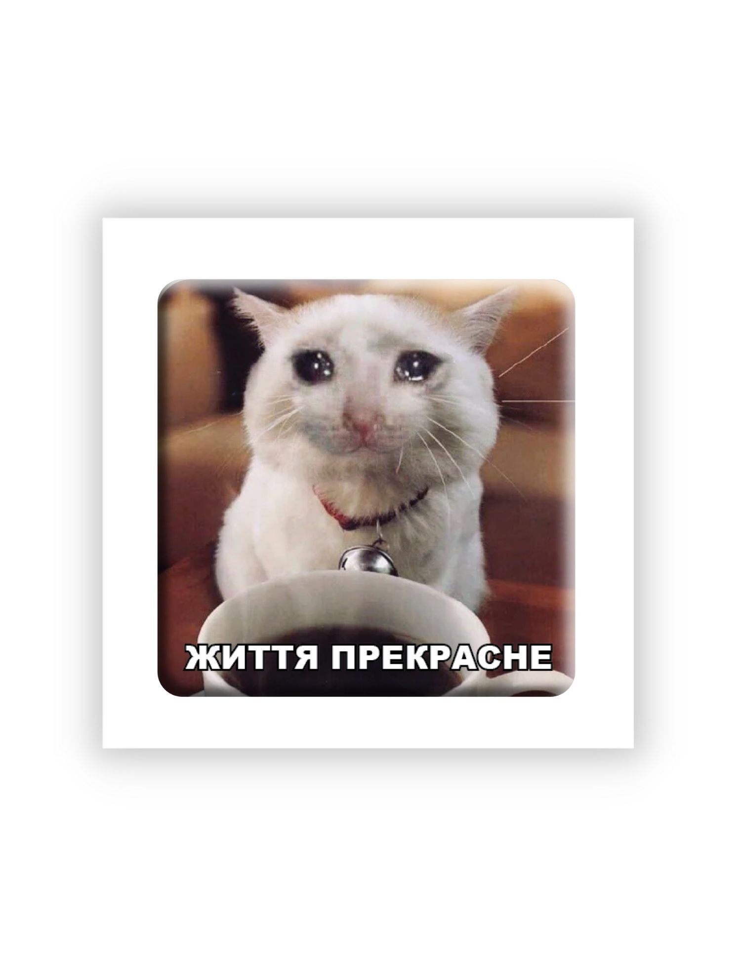 Картинка 3D-наліпка з котом "Життя прекрасне"
