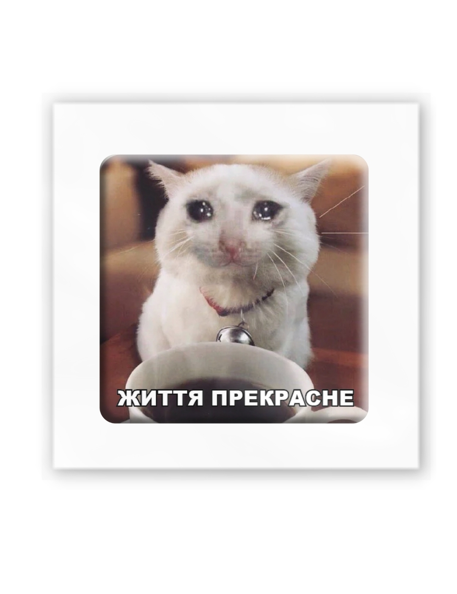Картинка 3D-наліпка з котом "Життя прекрасне"