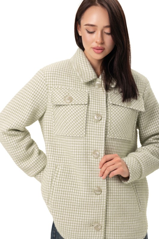 Картинка Пальто світло-зелене