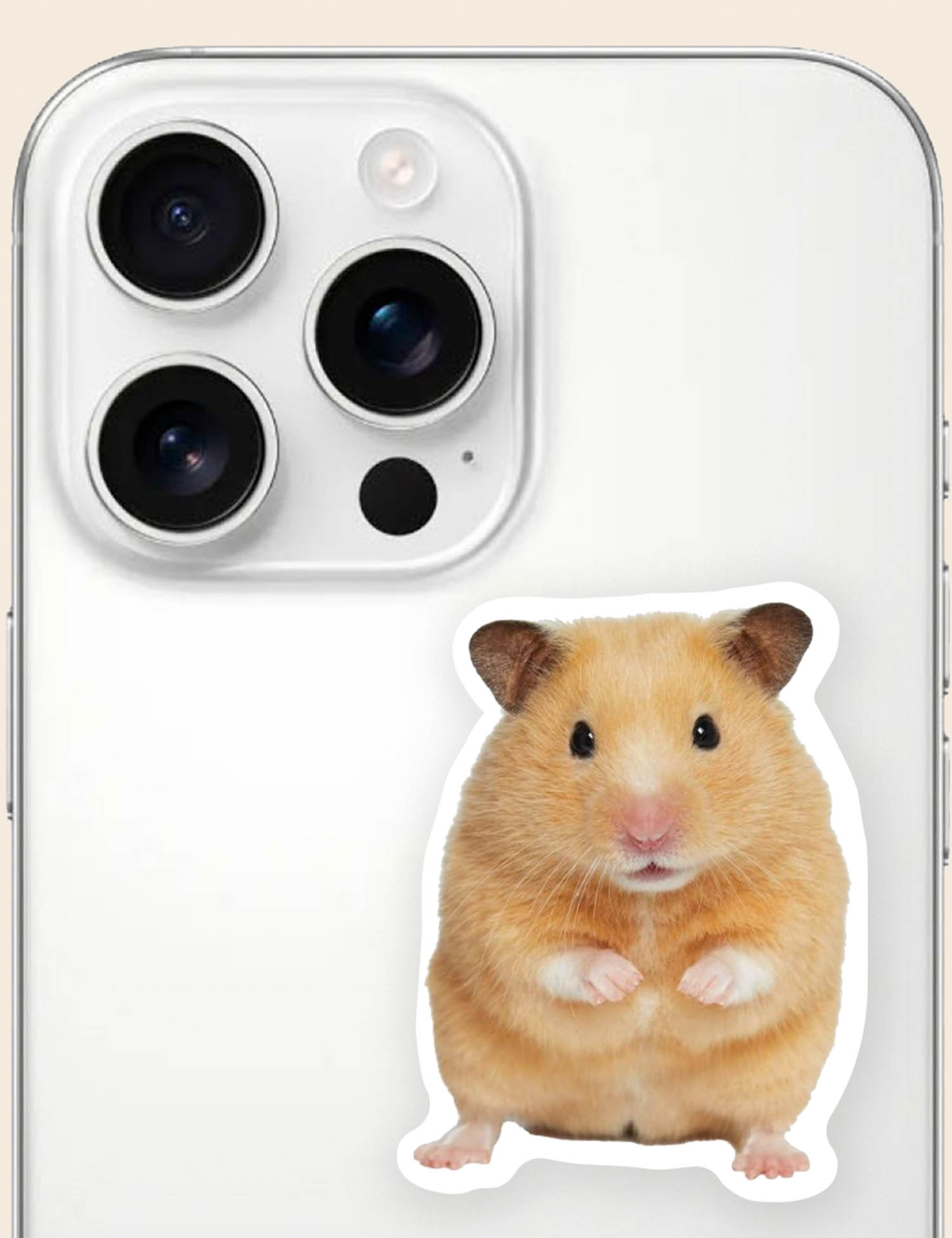Картинка Наліпка "Hamster"