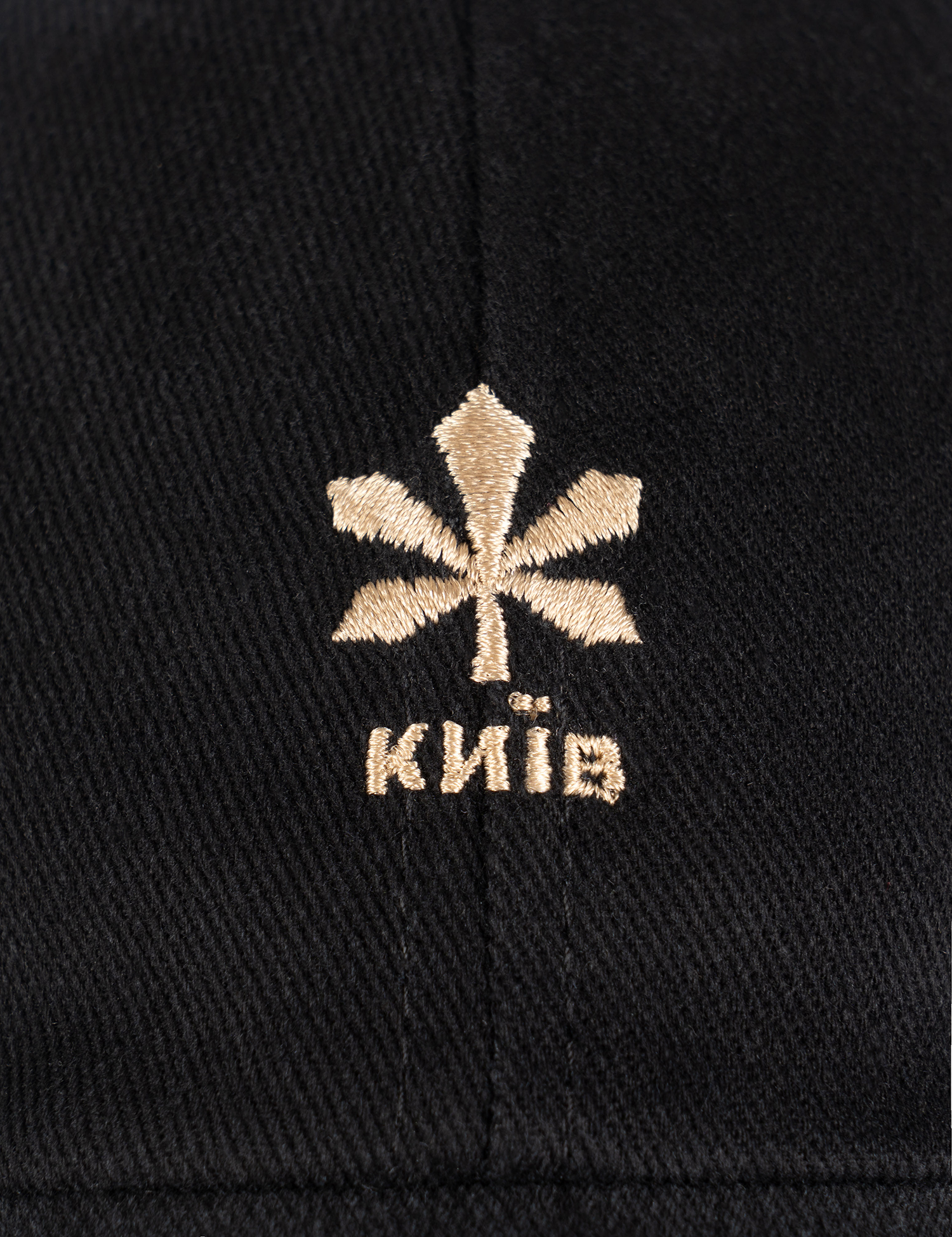 Картинка Кепка чорна з вишивкою