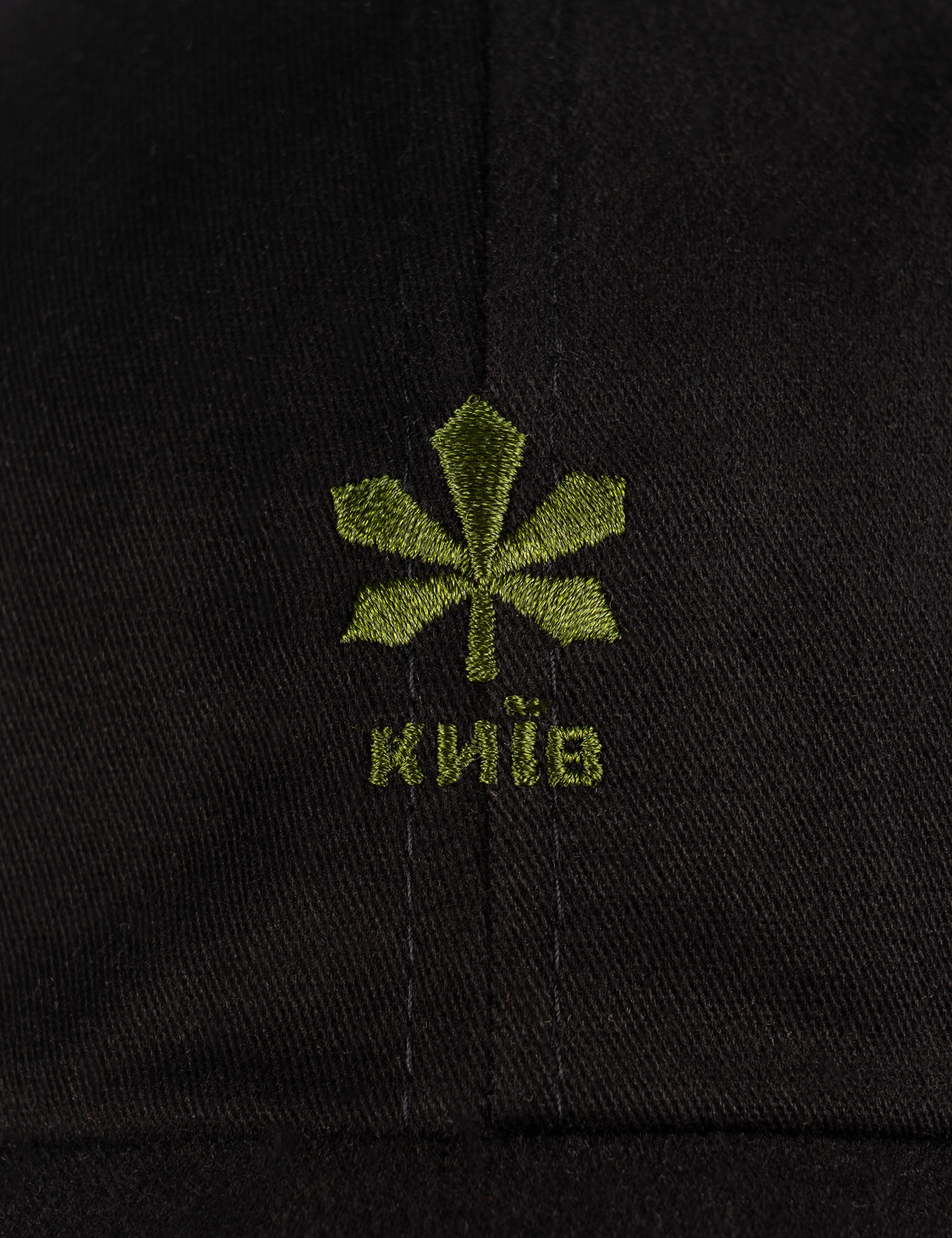 Картинка Кепка чорна з вишивкою