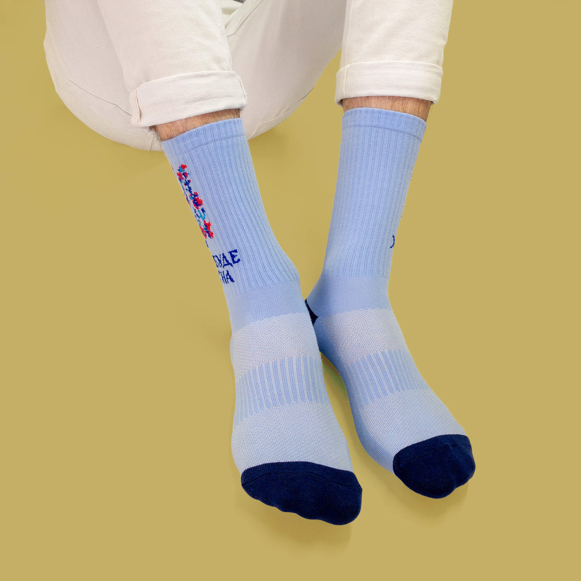 Картинка Шкарпетки "Хай буде весна" блактні