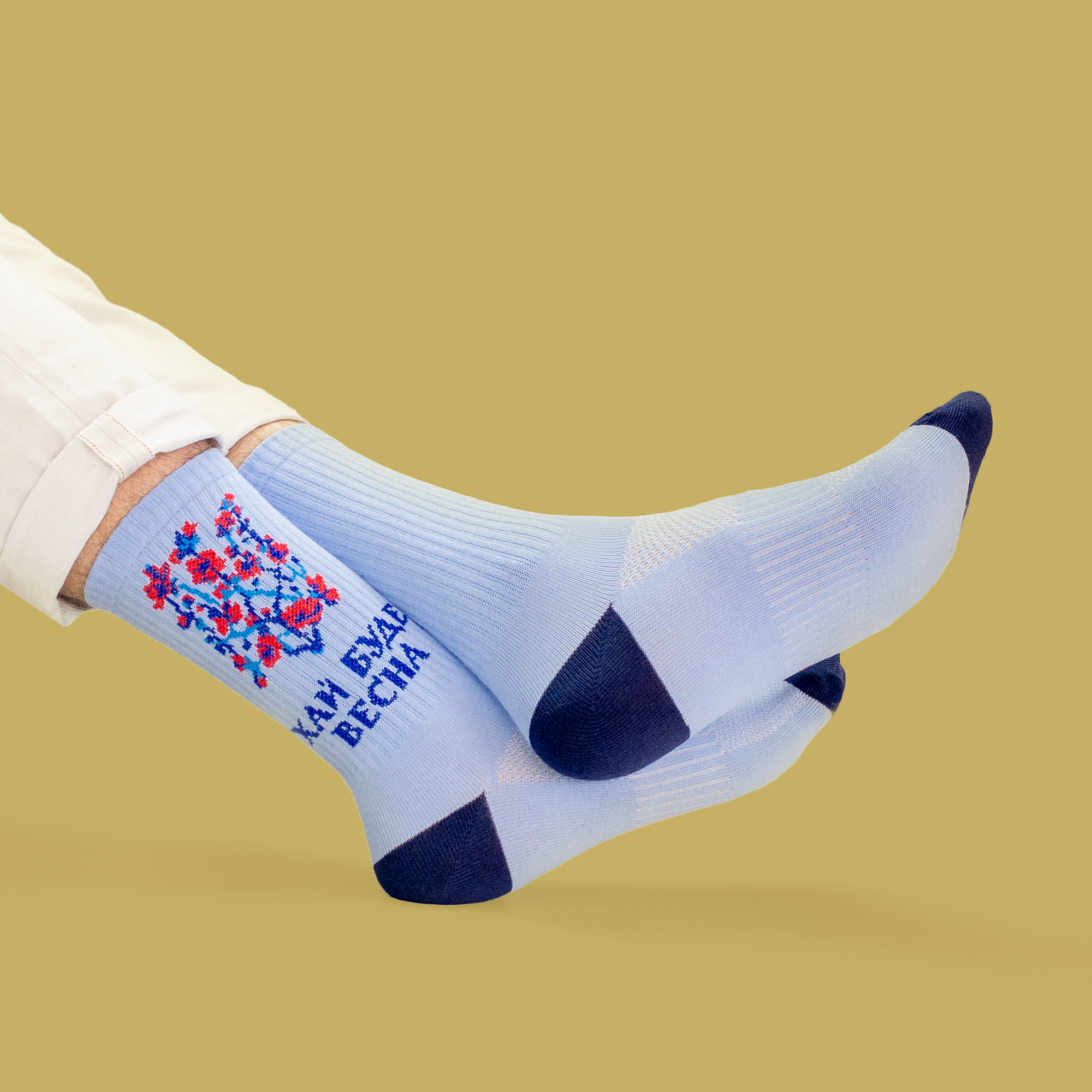 Картинка Шкарпетки "Хай буде весна" блактні