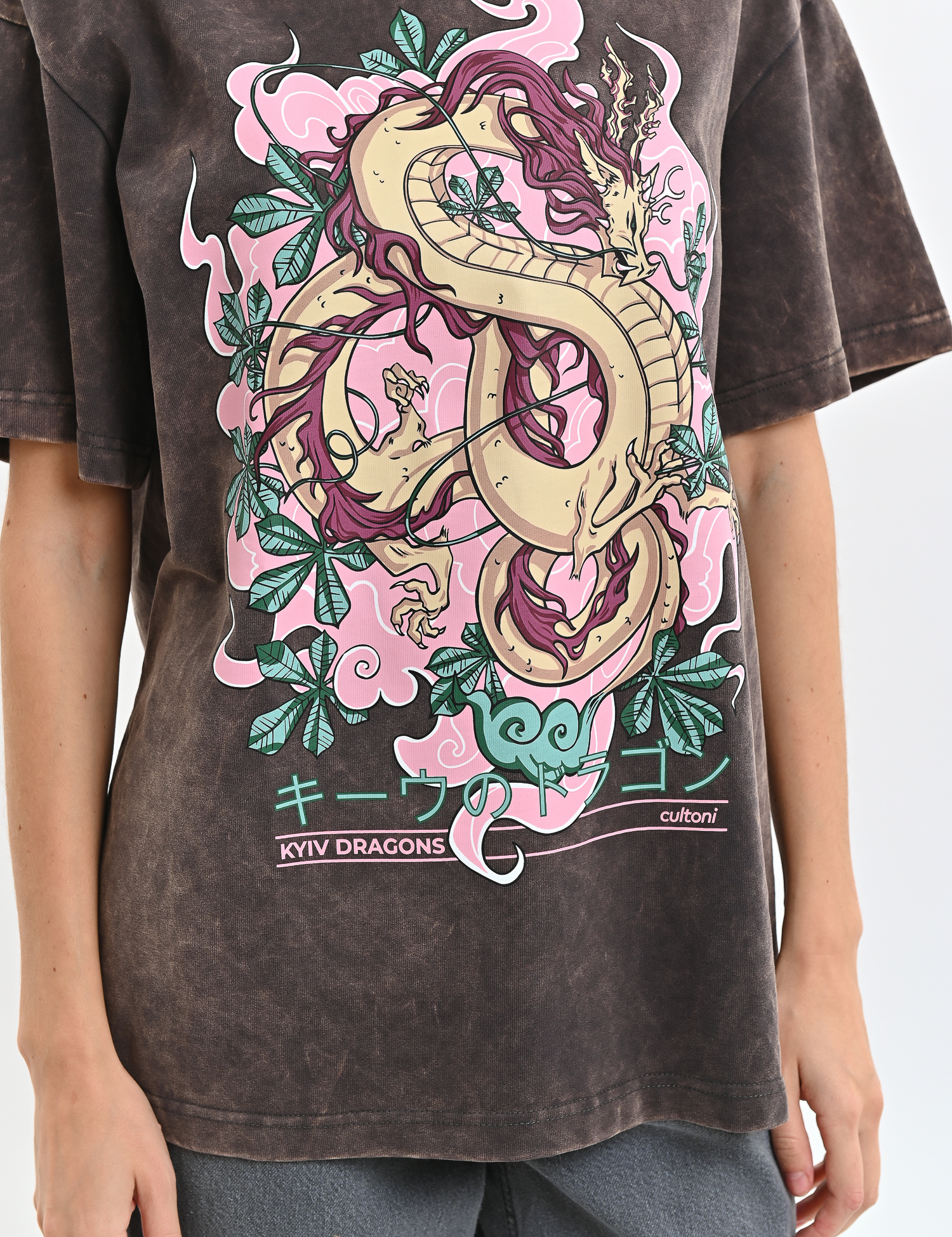 Картинка Футболка "Печерський Змій" тенмо-сіра