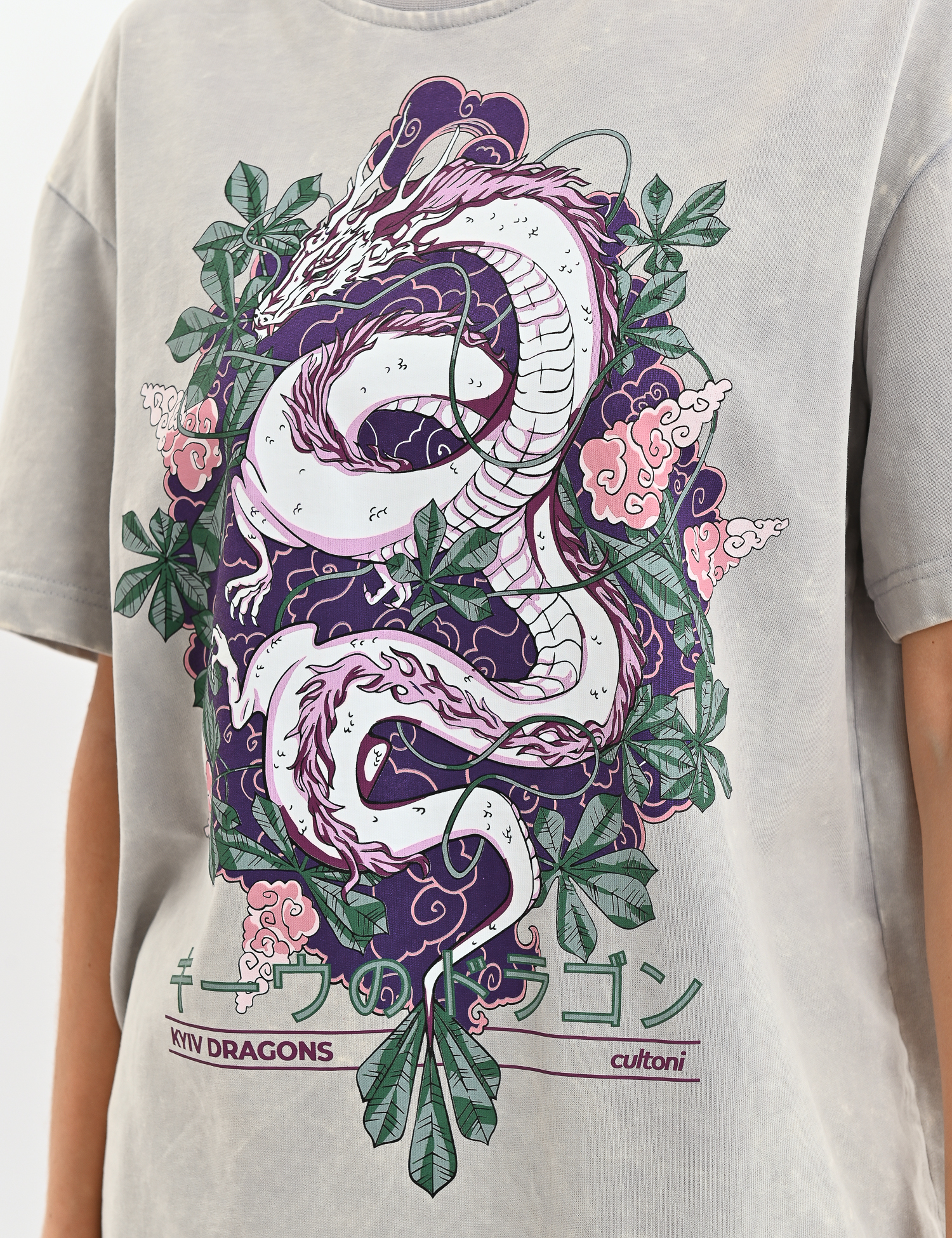 Картинка Футболка Либідь-Дракониця