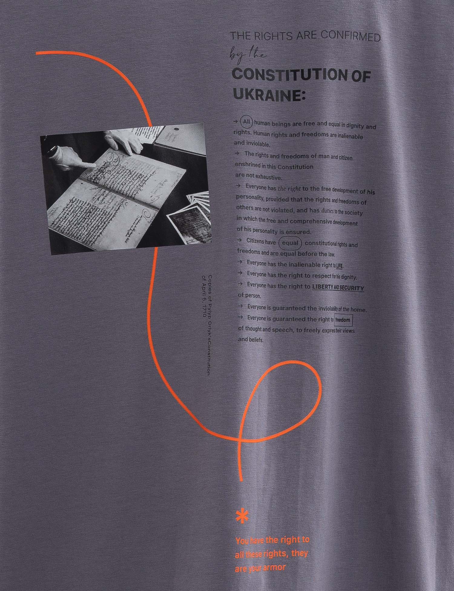 Картинка Футболка сіра з принтом 