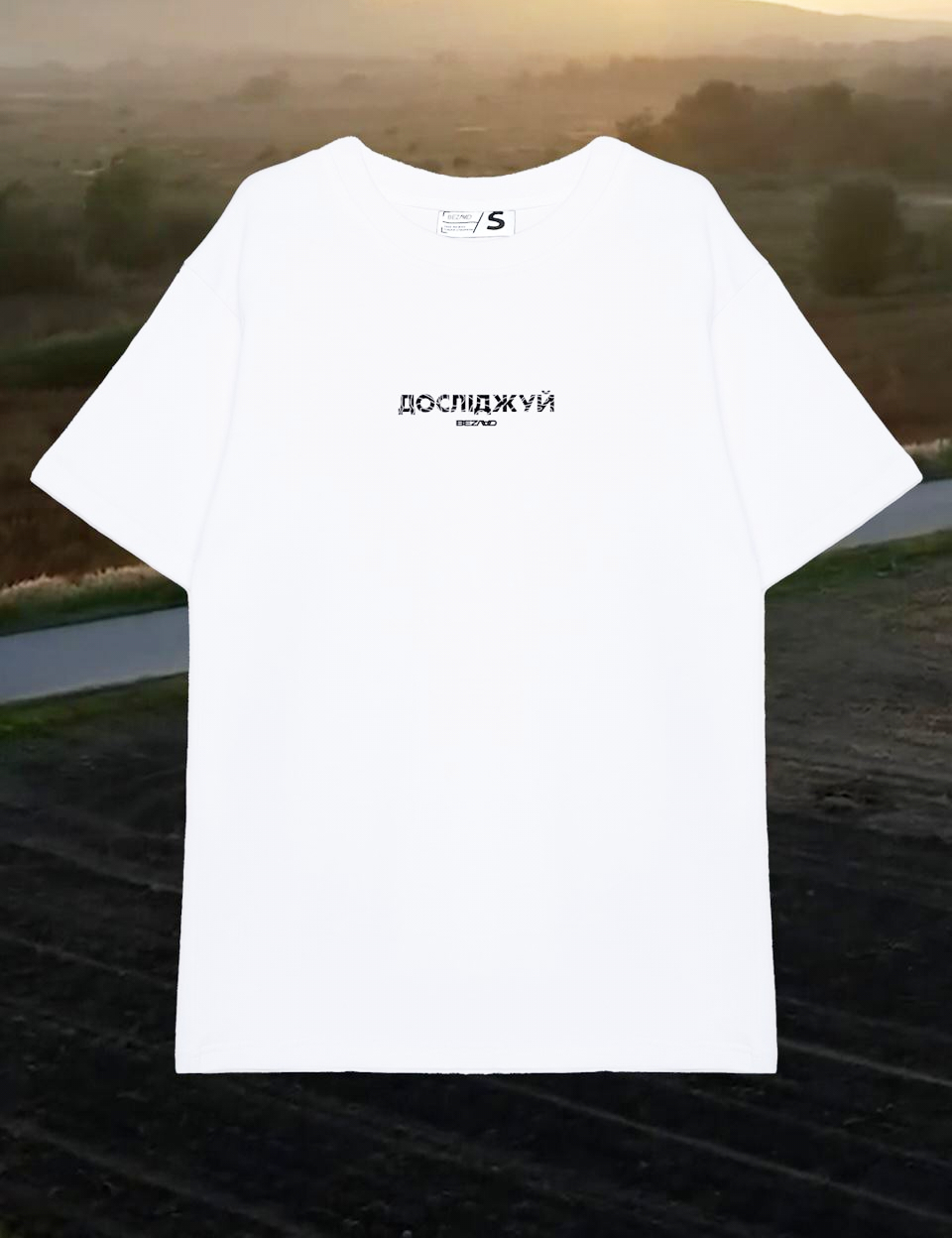 Картинка Оверсайз футболка Галичина