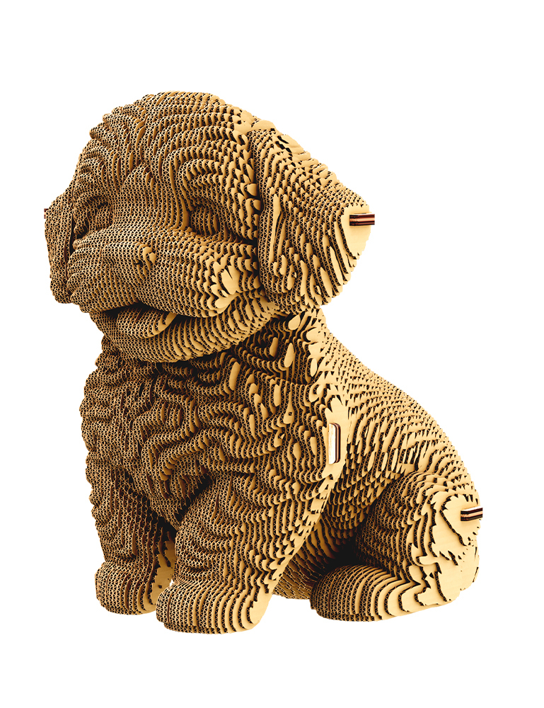 Картинка MALTIPOO — 3D-пазл