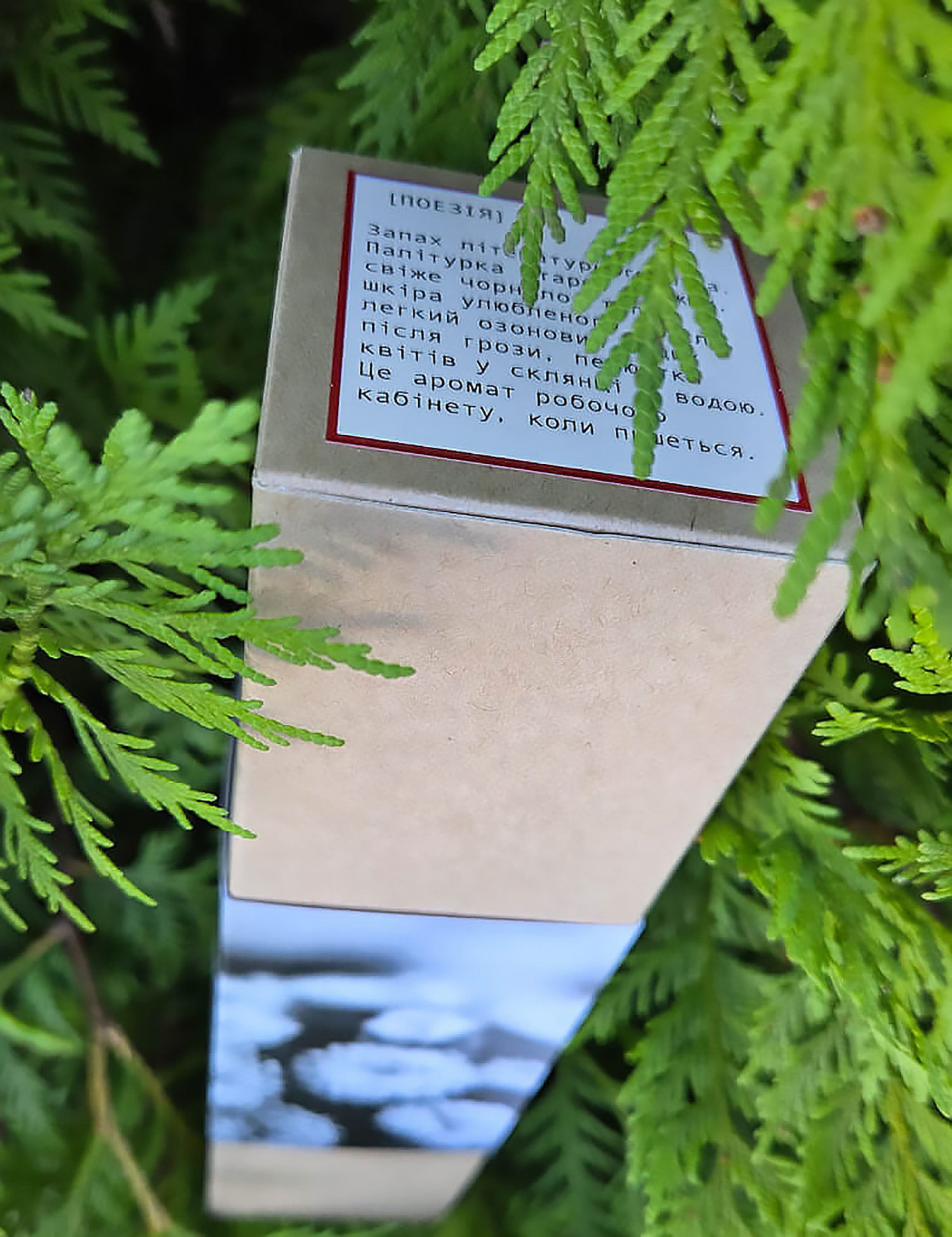 Картинка Аромадифузор ІРПІНЬ ДАЧНИЙ [ПОЕЗІЯ]