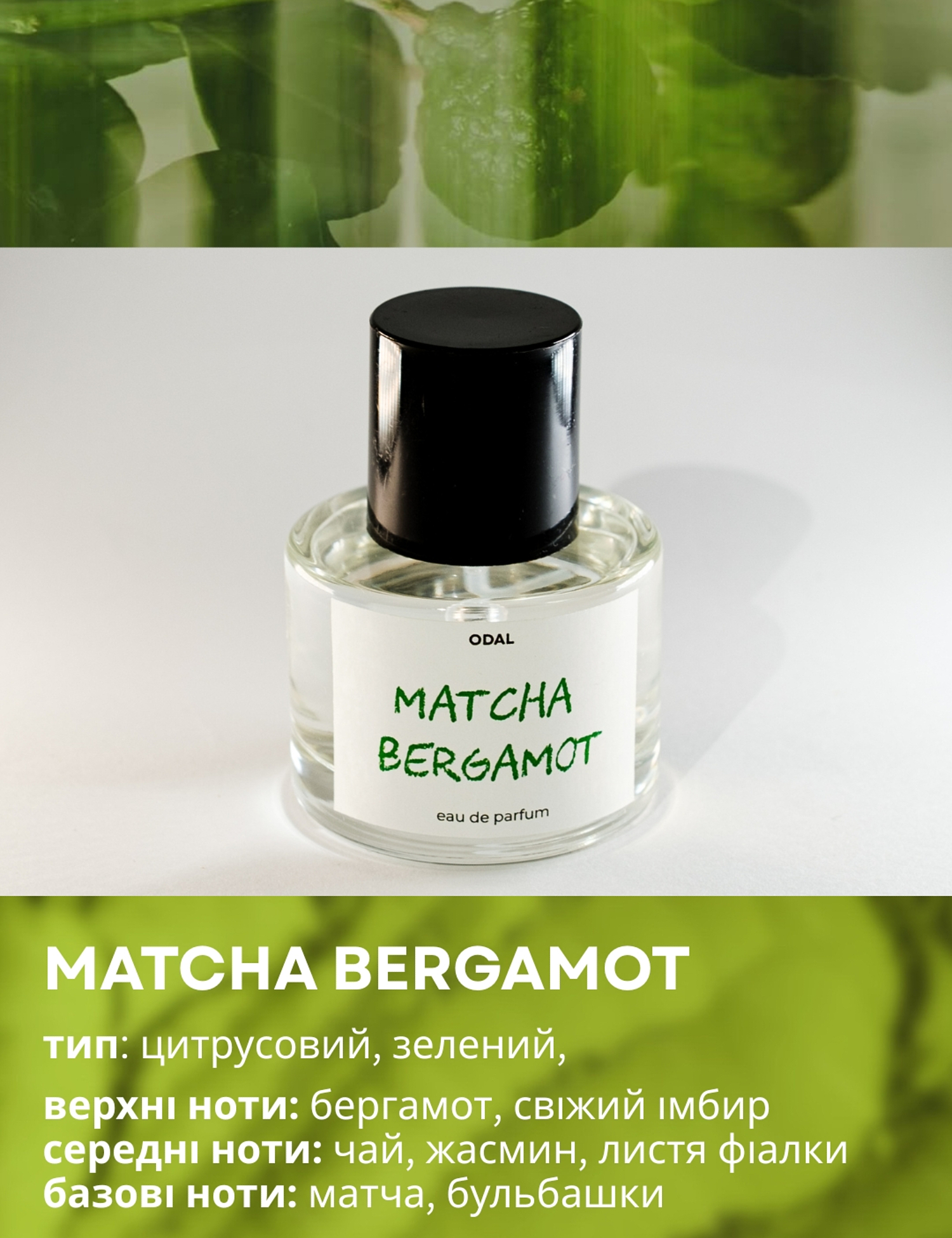 Картинка Парфумована вода  MATCHA BERGAMOT