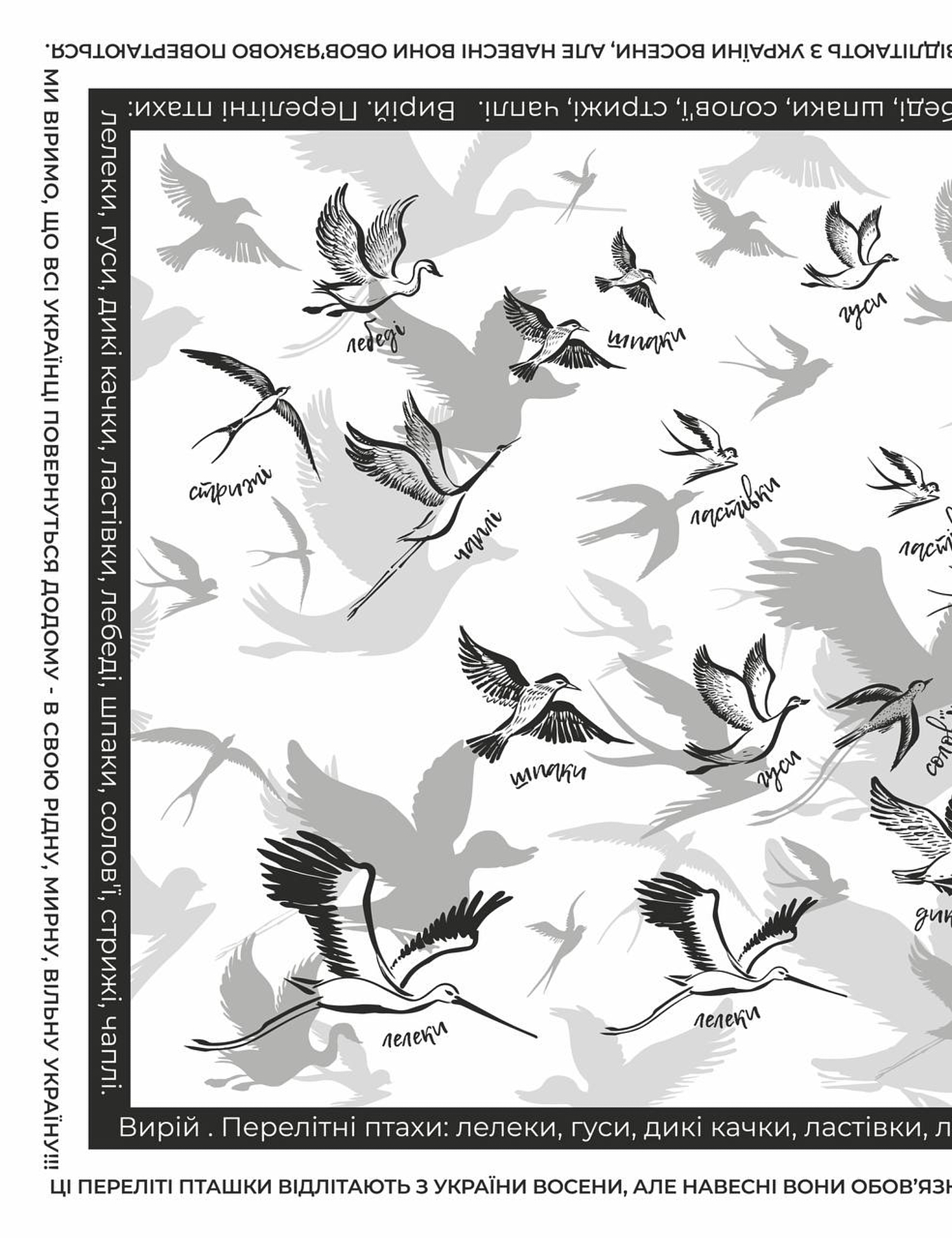 Картинка Дизайнерська хустка "Перелітні птахи"