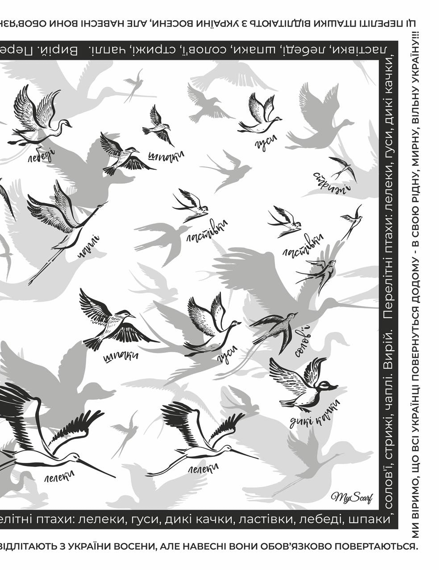 Картинка Дизайнерська хустка "Перелітні птахи"