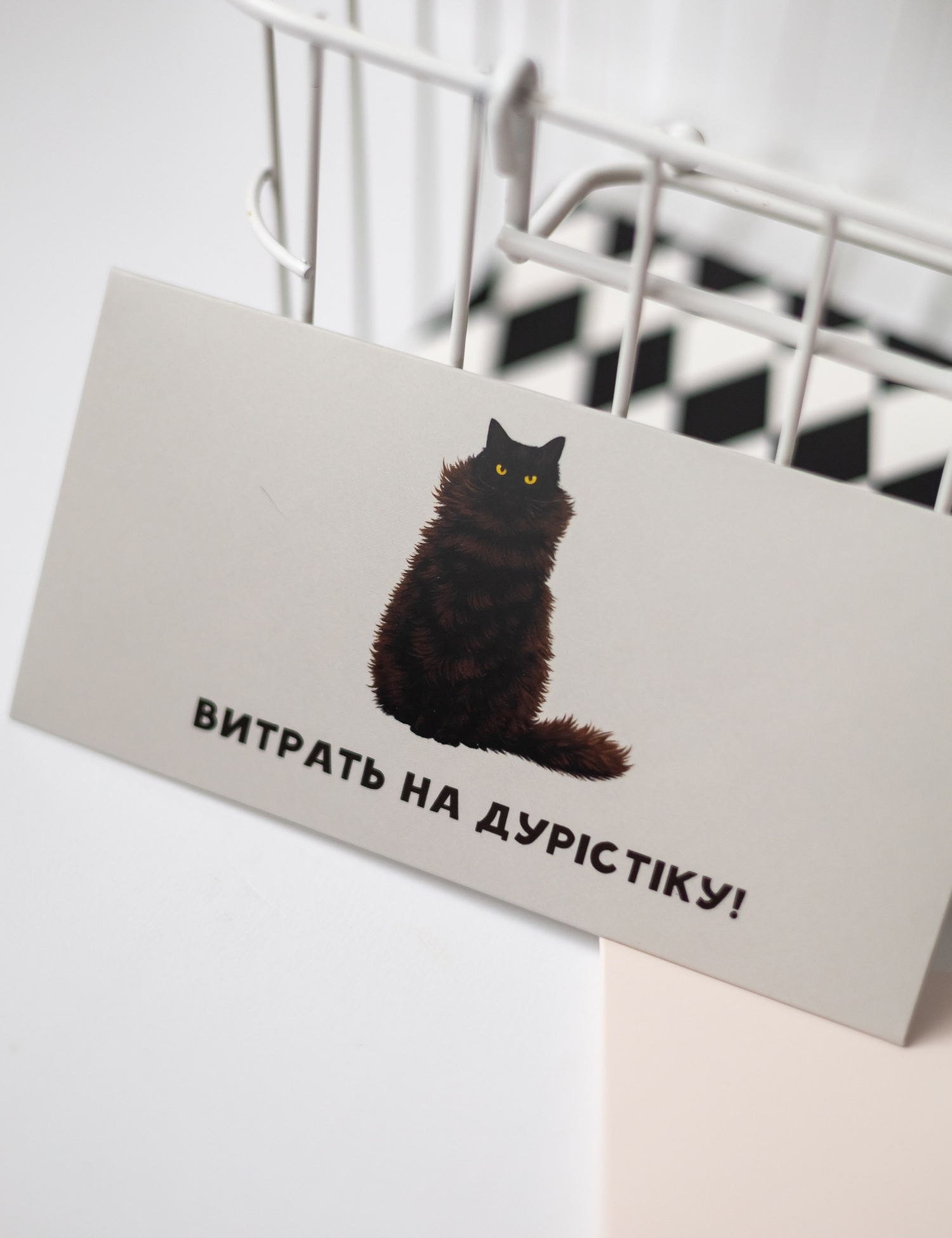 Картинка Сірий конверт із котом