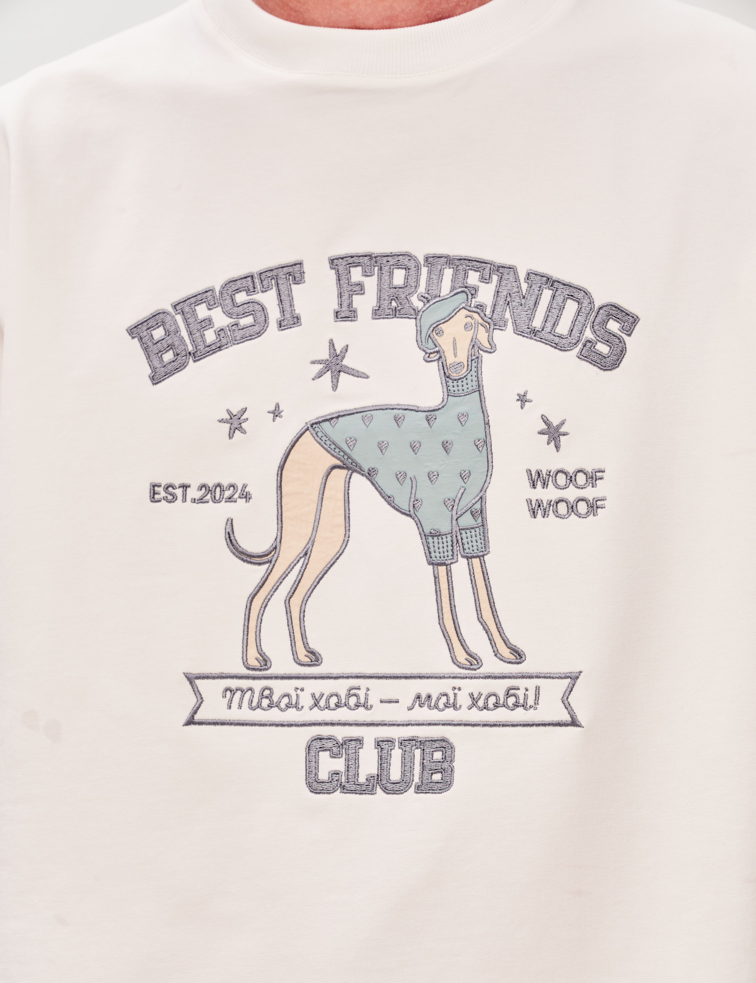 Картинка Футболка з аплікацією "Best Friend's Club" пес модник
