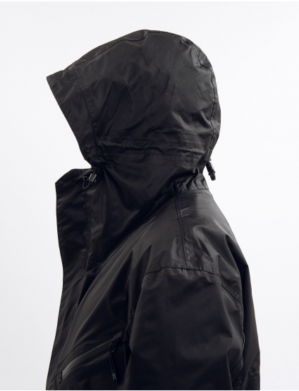 Картинка Дощовик чорний 