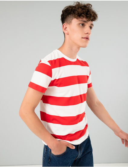 Картинка Чоловіча футболка в смужку