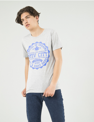 Картинка Чоловіча сіра футболка з принтом