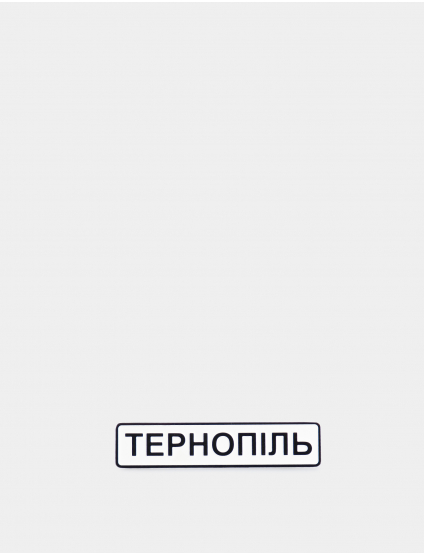 Image Металевий значок