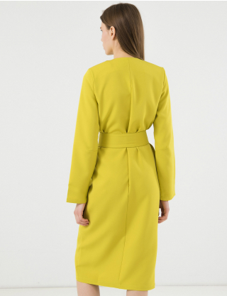 Картинка Сукня міді світло-зелена