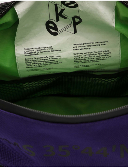 Картинка Зелено-фіолетова сумка