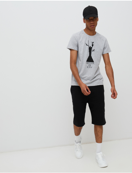 Картинка Чоловіча сіра футболка з принтом